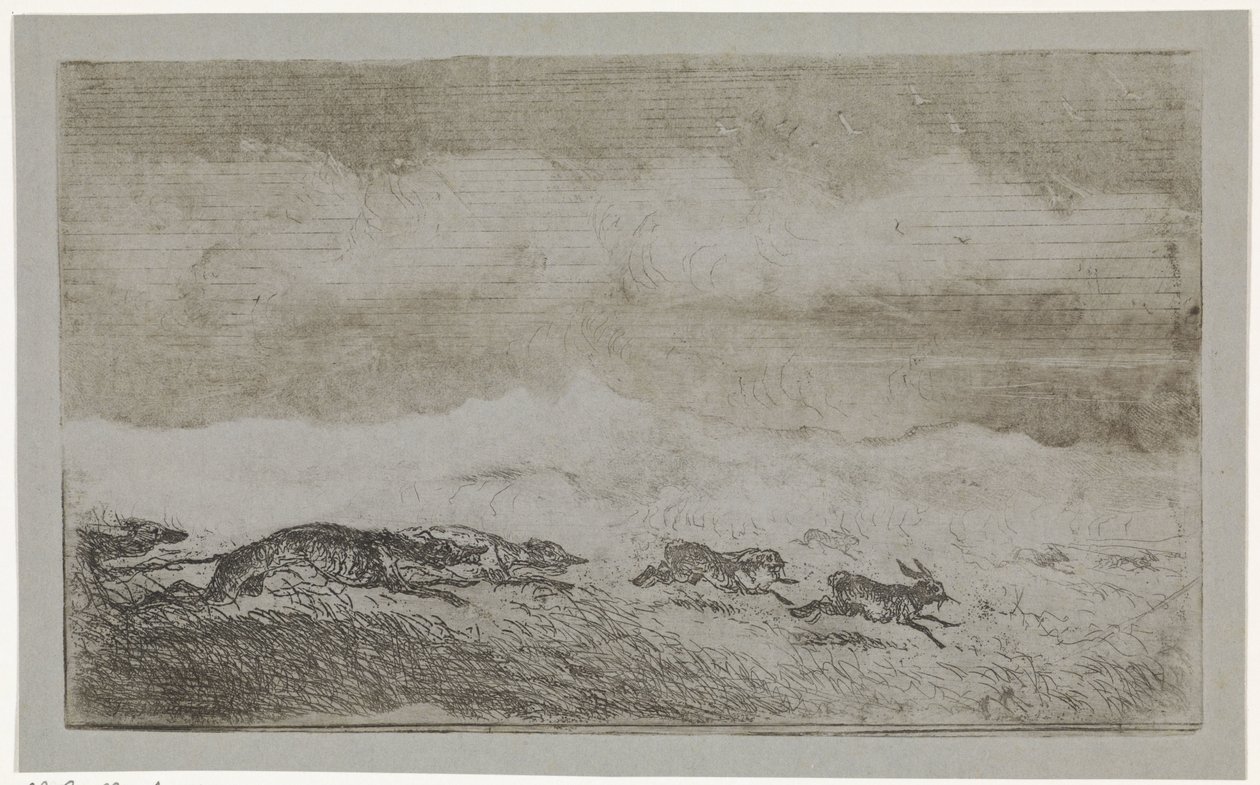 Hasenjagd von Johannes Tavenraat