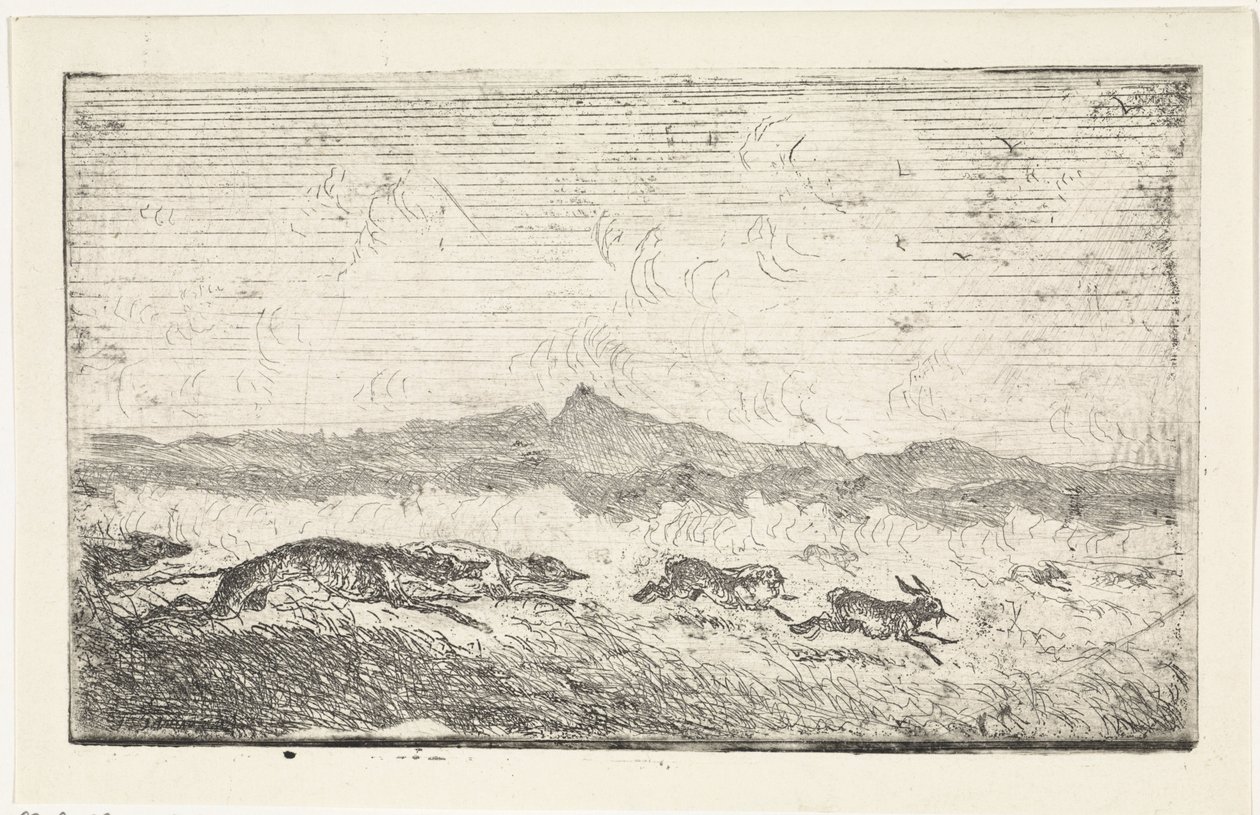 Hasenjagd von Johannes Tavenraat