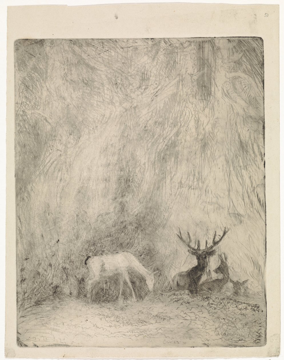 Hirsche in einem böhmischen Wald von Johannes Tavenraat