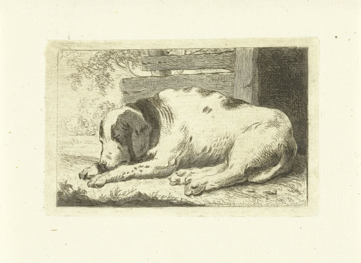 Schlafender Hund von Johannes van Cuylenburgh