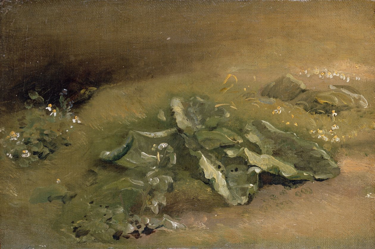 Eine Studie von Klette von John Constable