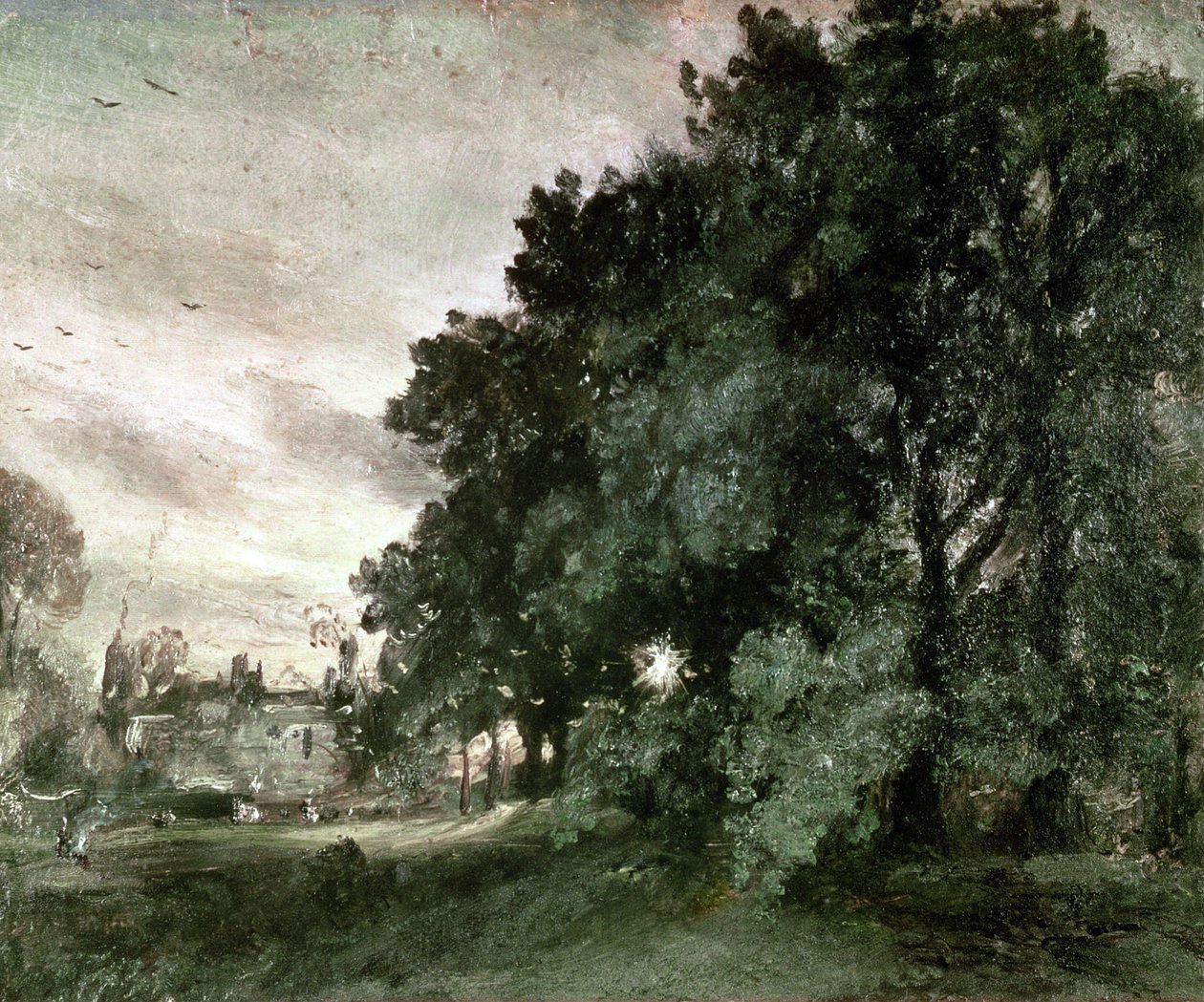 Studie von Bäumen von John Constable