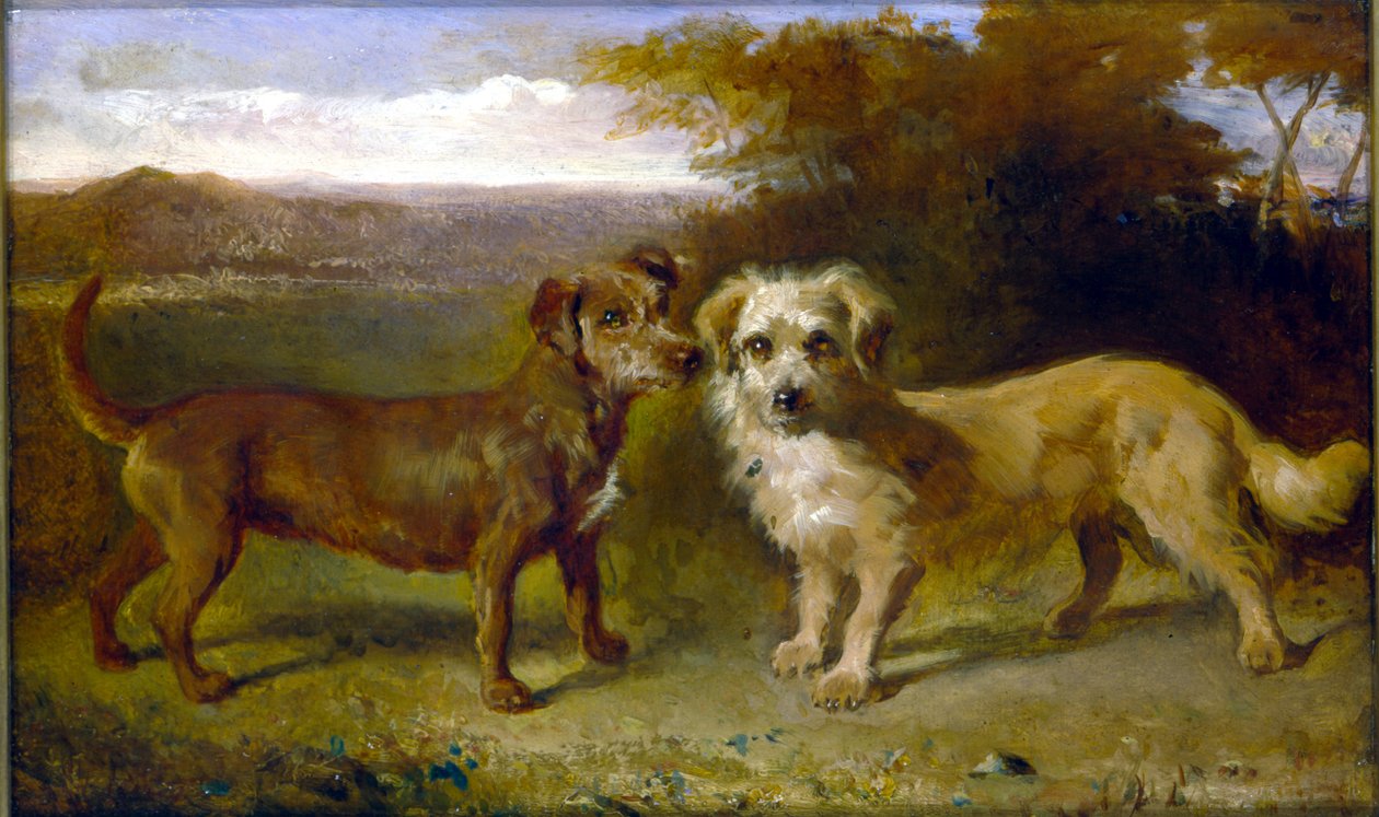 Gefährten von John Glass