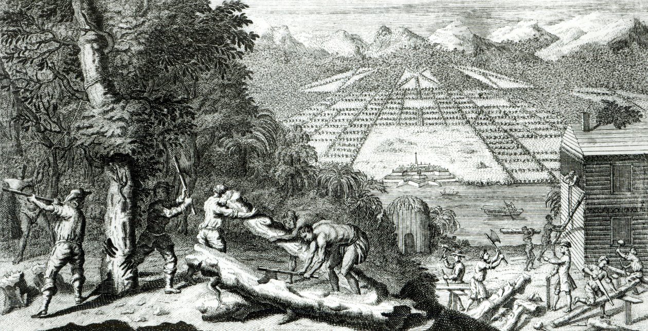 Illustration aus 