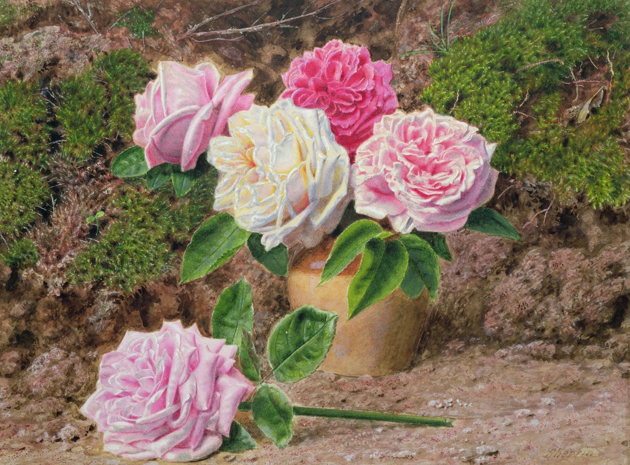 Rosen in einer irdenen Vase an einem moosigen Ufer von John Sherrin