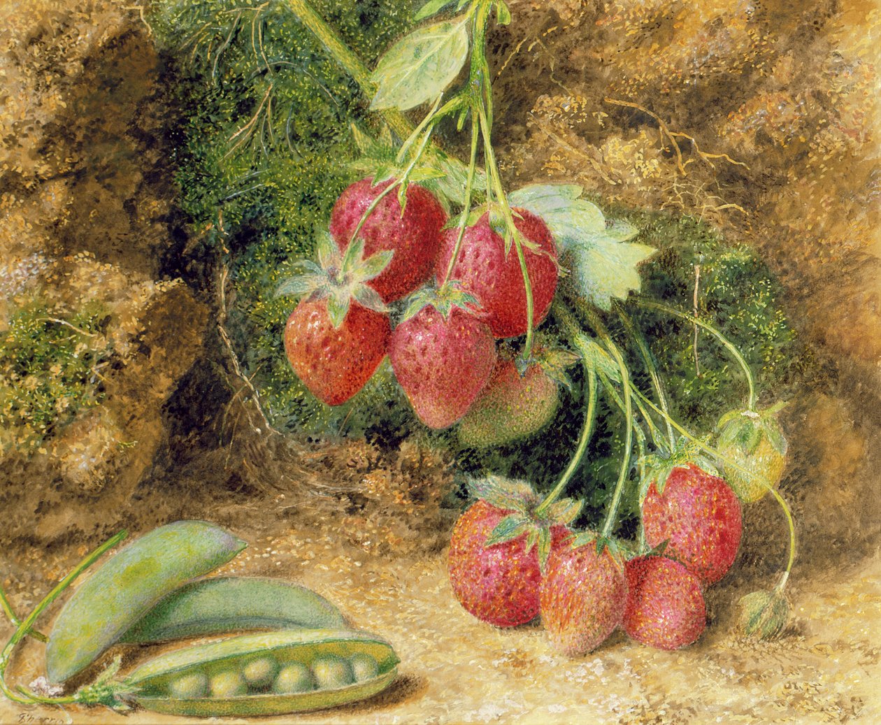 Erdbeeren und Erbsen von John Sherrin