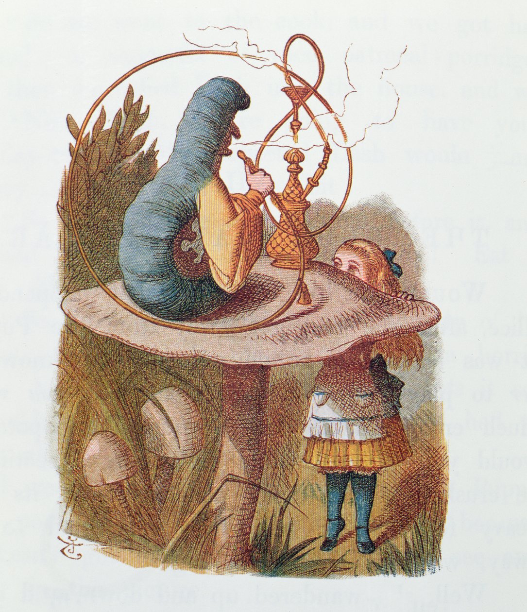 Alice und die Raupe, Illustration aus 