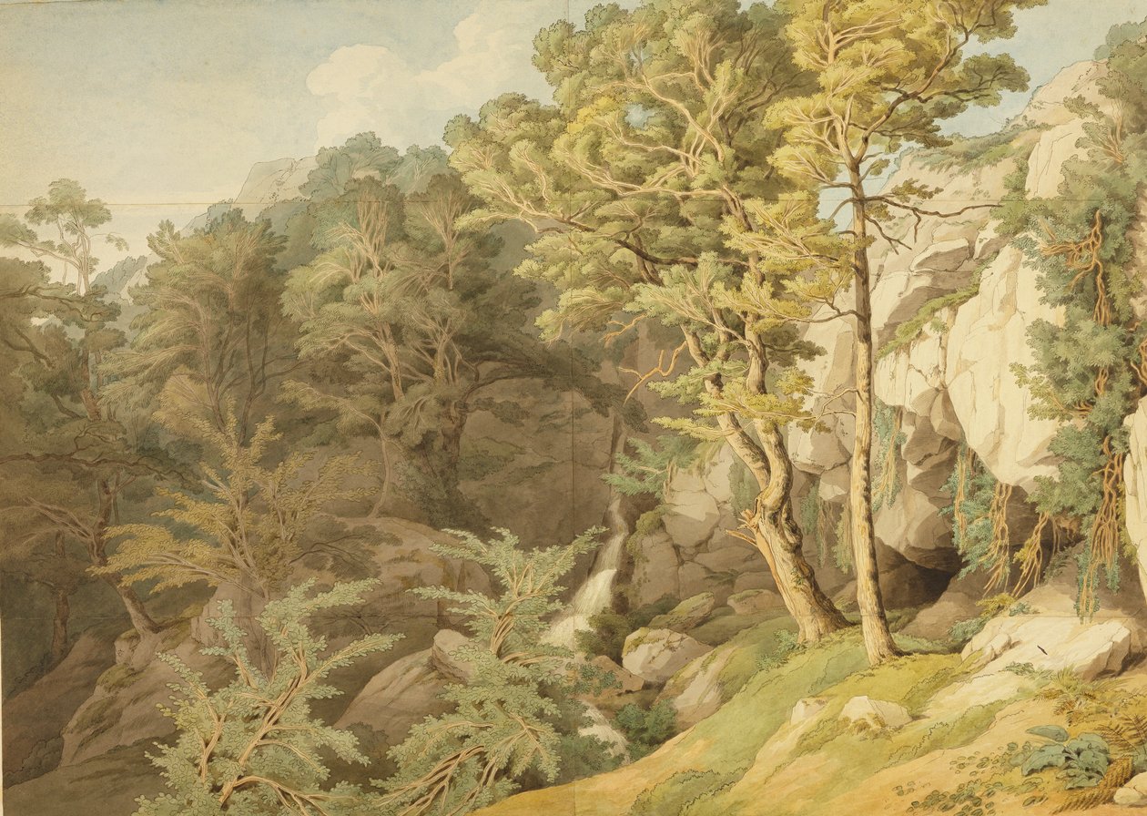 Canonteign, Devon, 1804 von John White Abbott