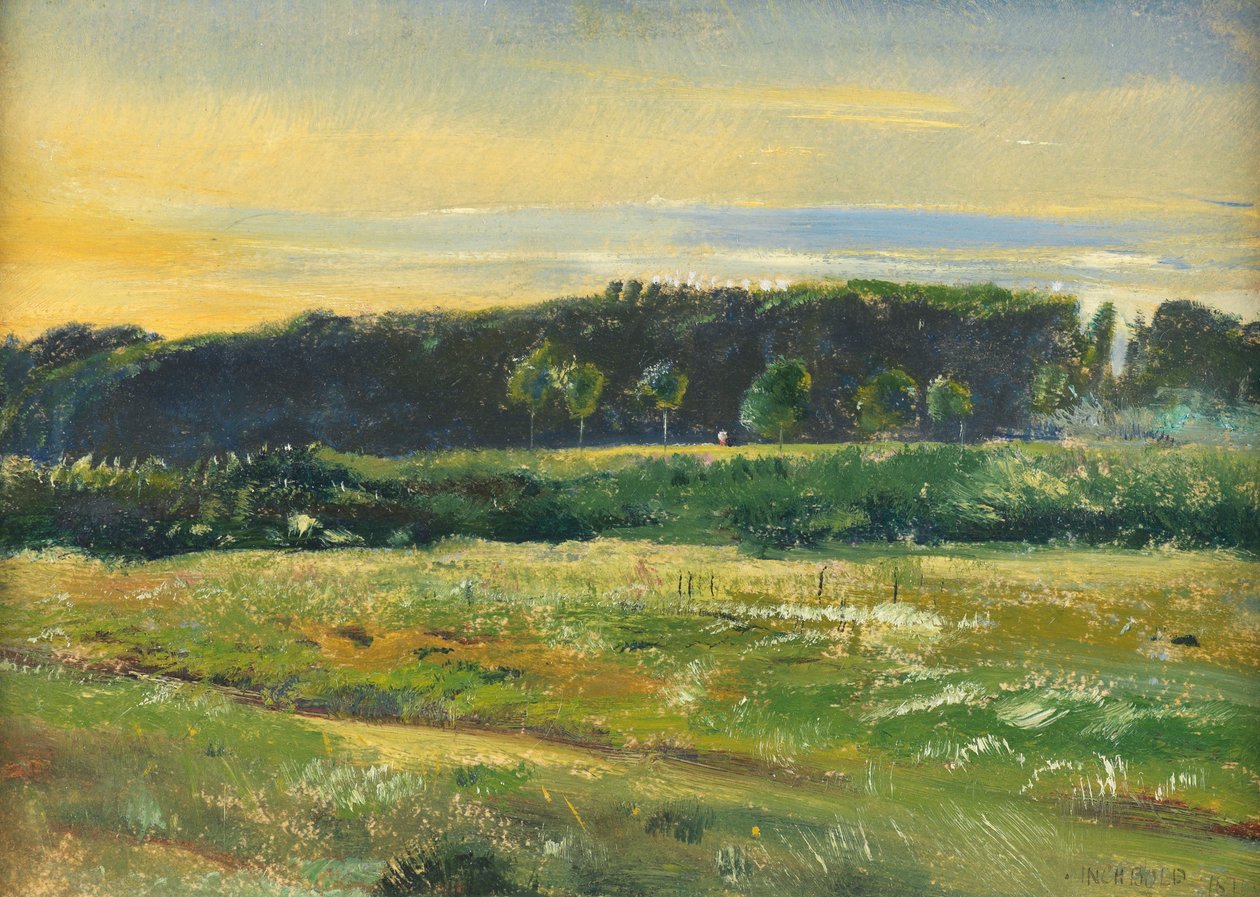 The Common, Juni, 1871 von John William Inchbold