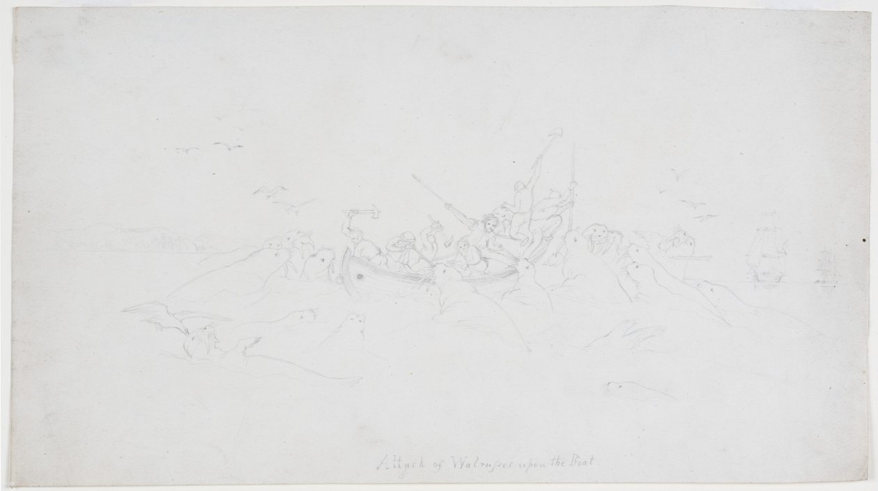 Angriff der Walrosse auf das Boot von John Wilson Carmichael