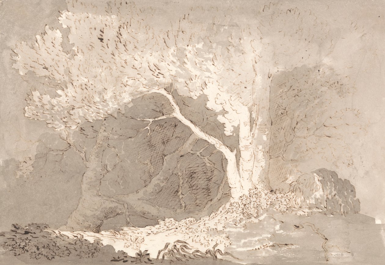 Baumstudie von John Baverstock Knight