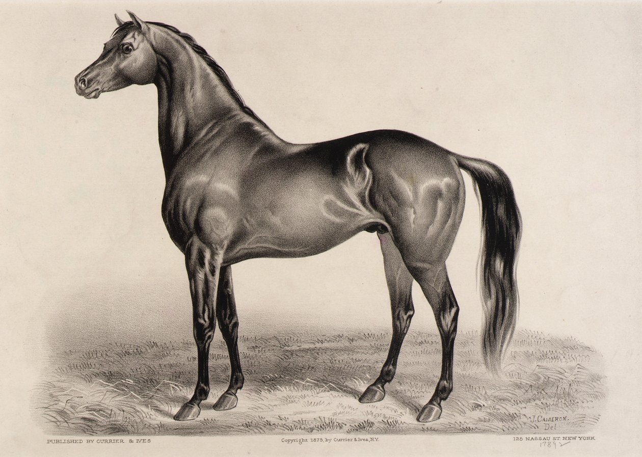 Redpath von John Cameron