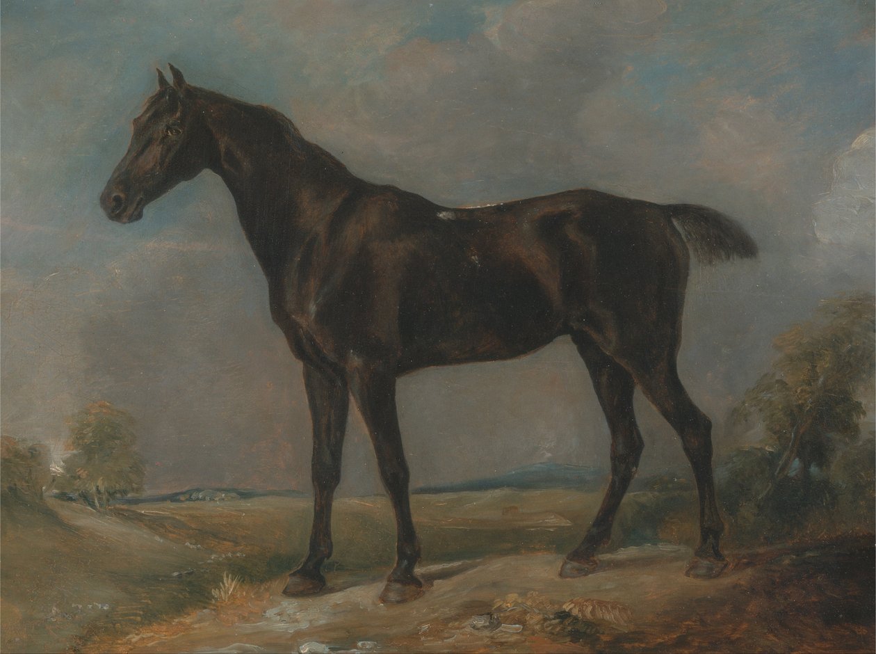 Golding Constables schwarzes Reitpferd von John Constable