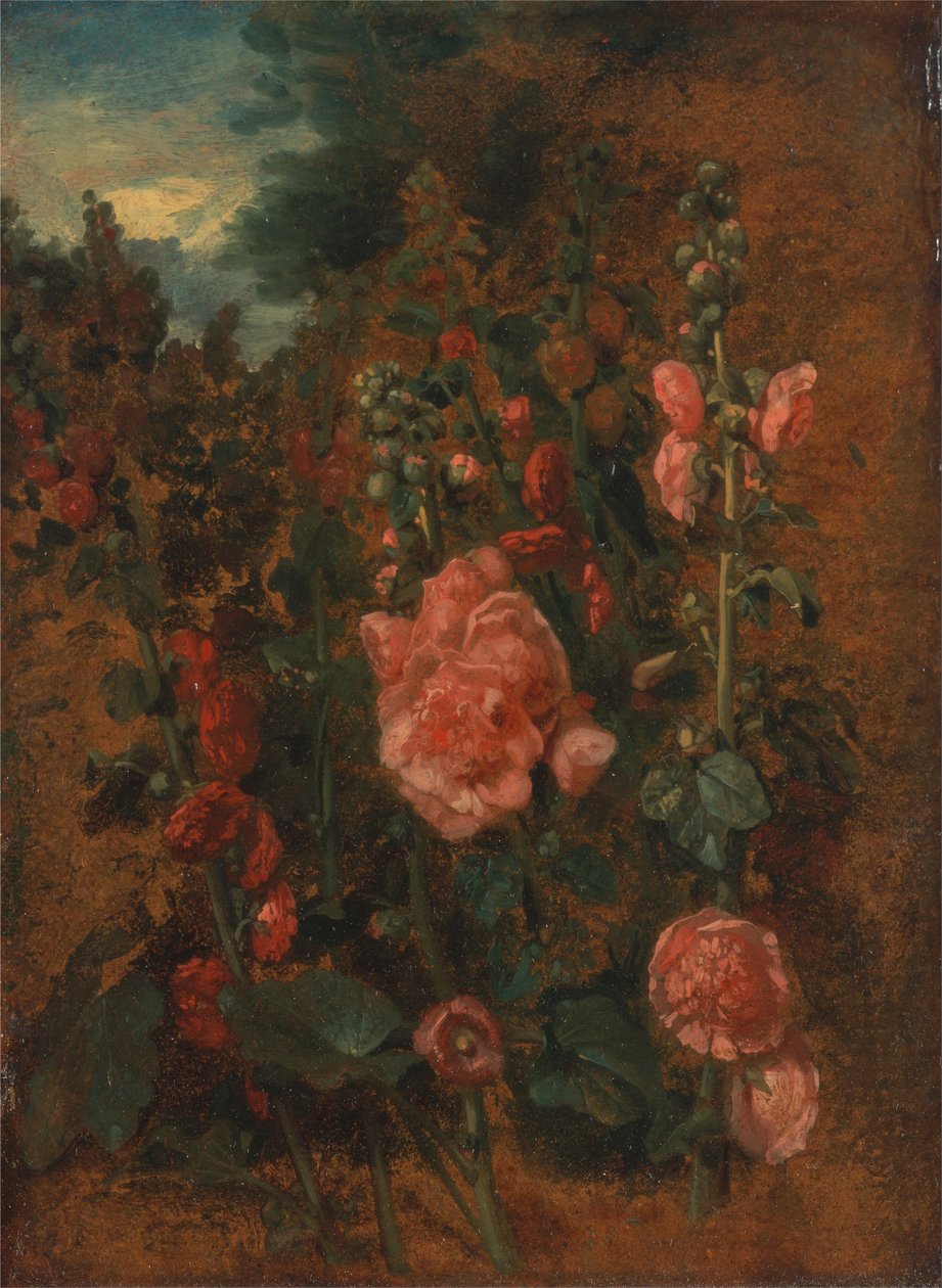 Studie von Stockrosen von John Constable