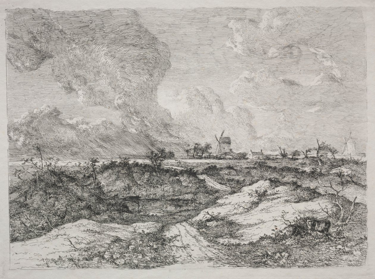 Mousehold Heath, um 1810-13 von John Crome