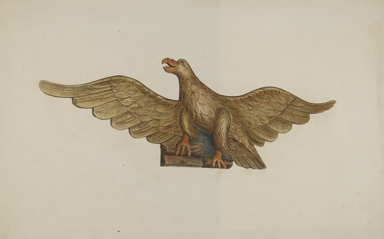 Adler von John Davis