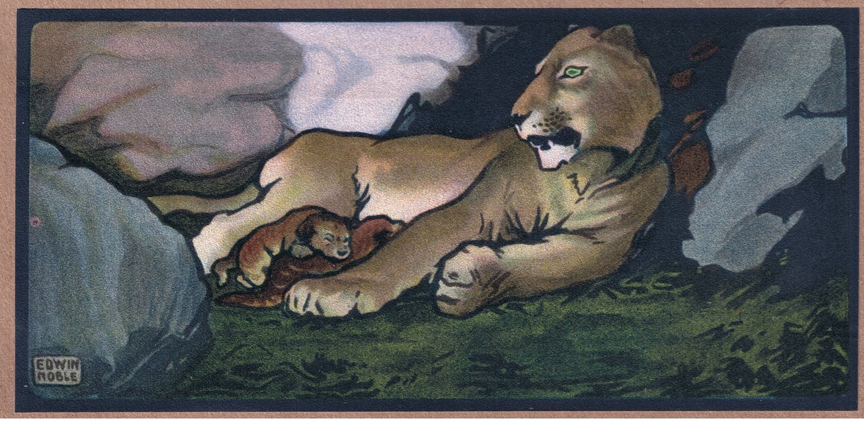 Löwe mit Jungen von John Edwin Noble