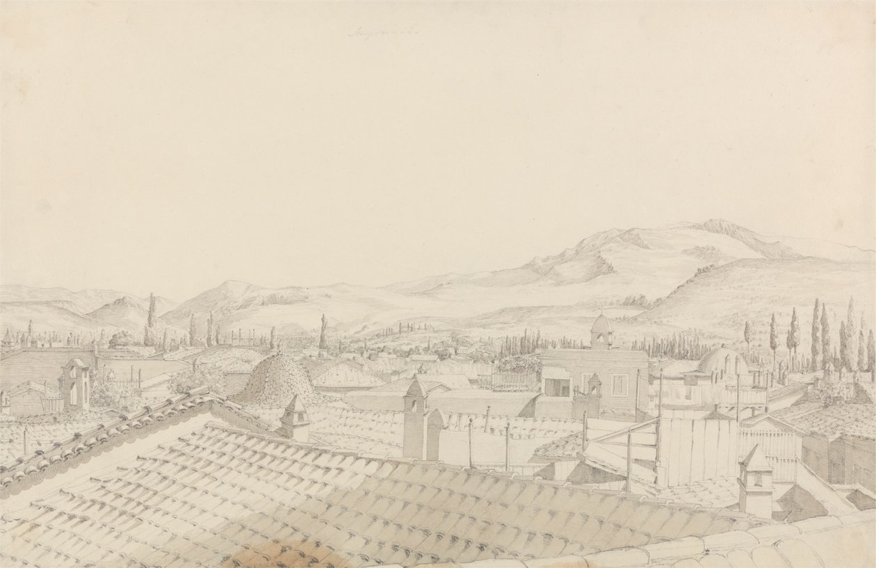 Smyrna von John Foster