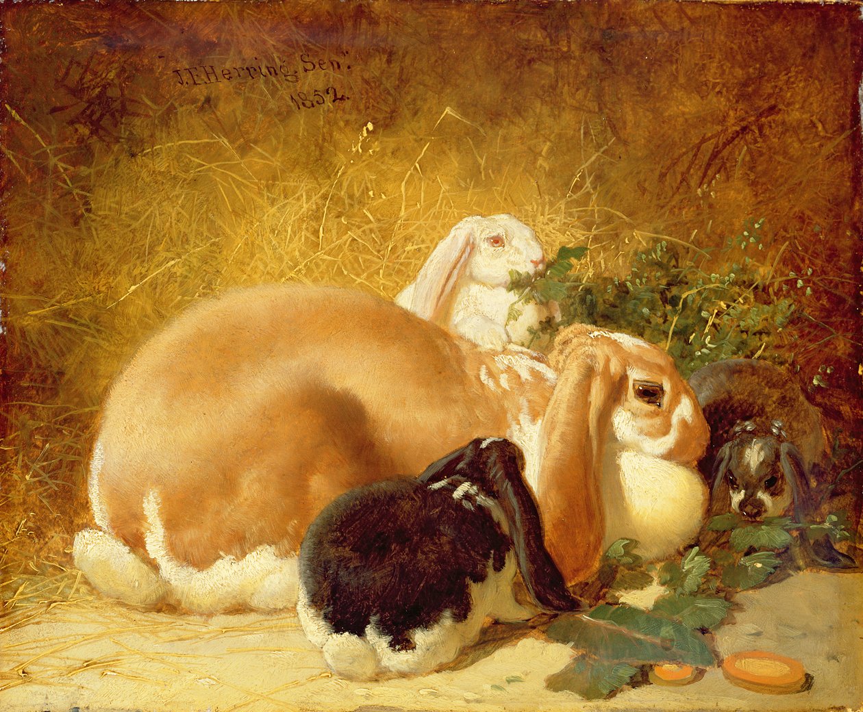 Kaninchen, 1852 von John Frederick Herring Junior