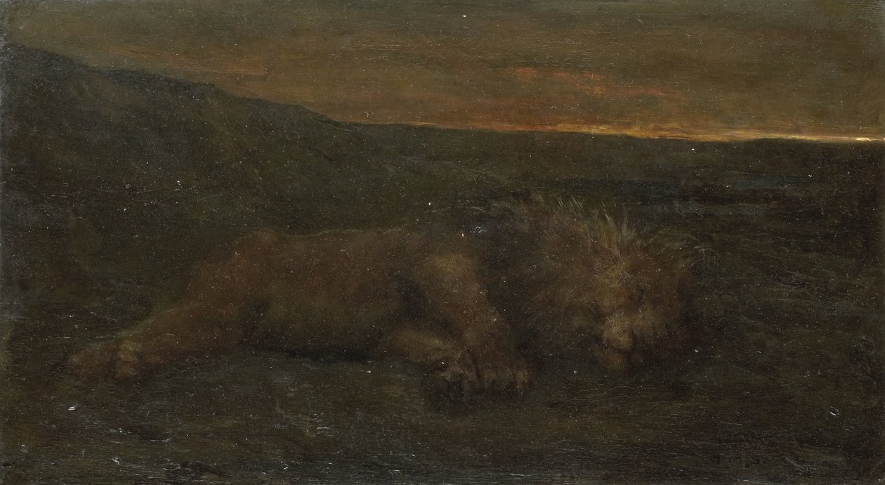 Schlafender Löwe bei Nacht von John Macallan Swan