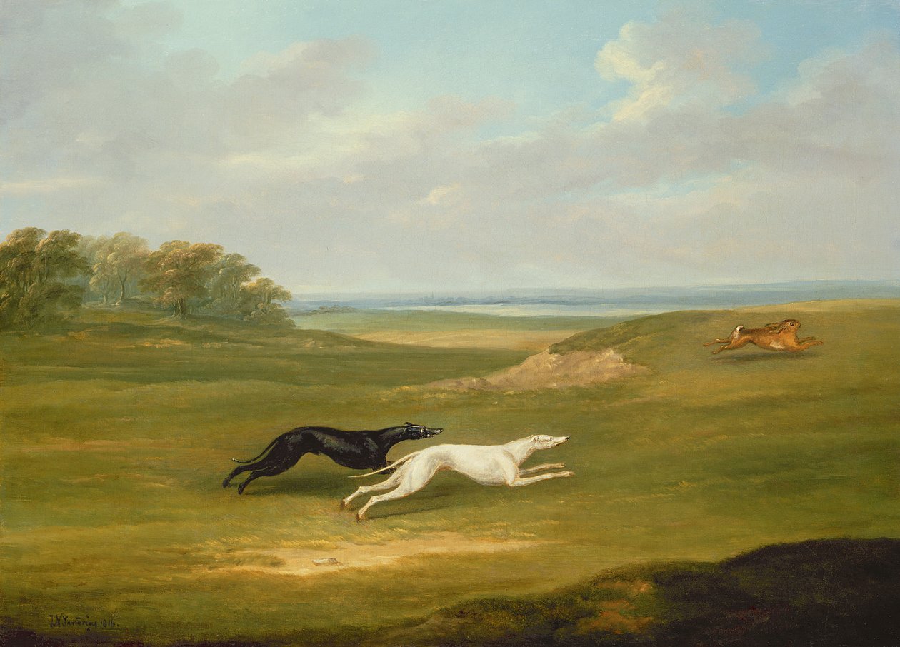 Laufszene von John Nott Sartorius