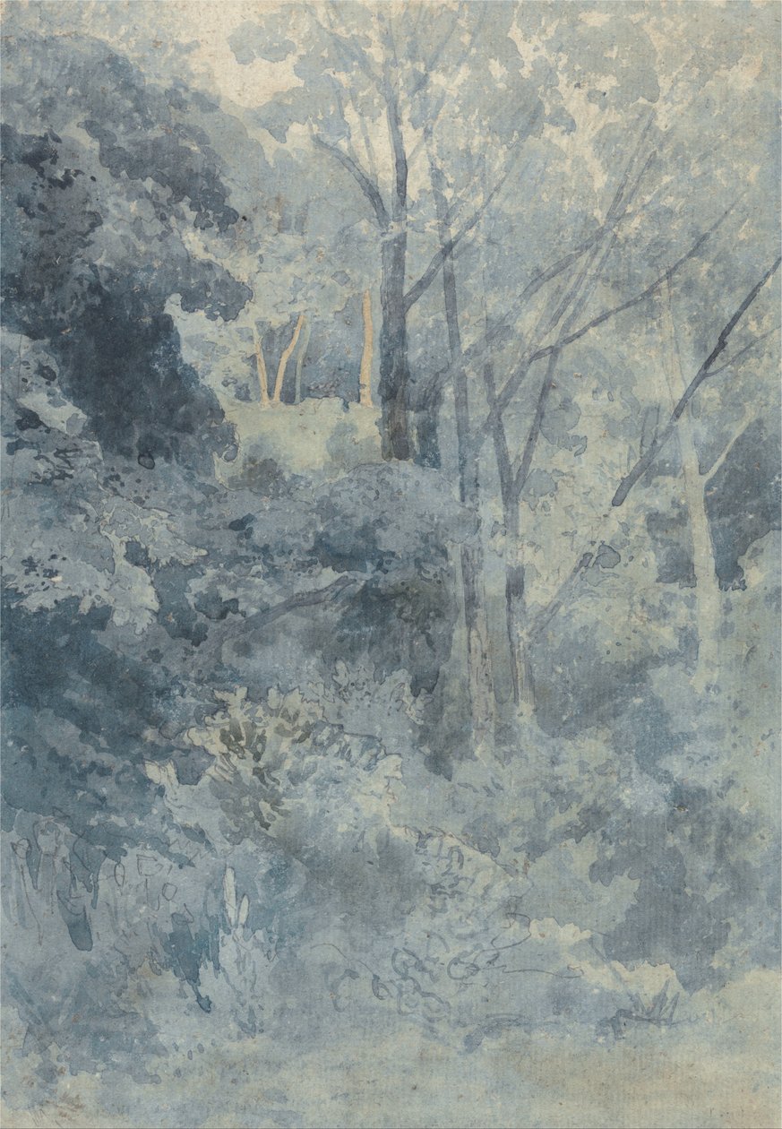 In Rokeby Park von John Sell Cotman