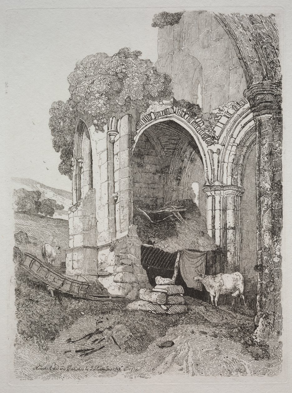 Rievaulx Abbey, Yorkshire von John Sell Cotman