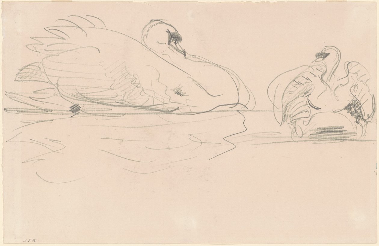 Schwäne im Wasser von John Singer Sargent
