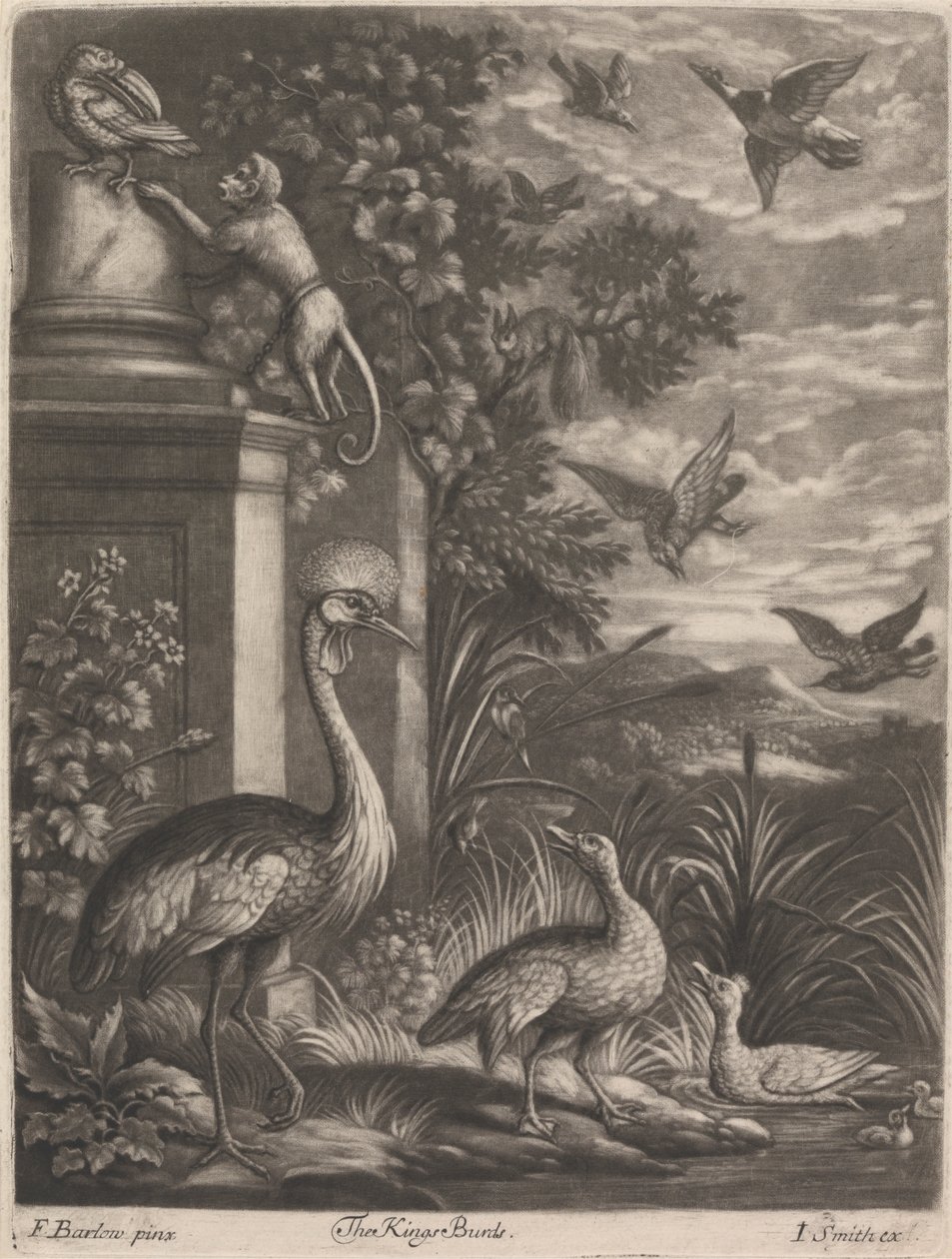 Die Vögel des Königs von John Smith