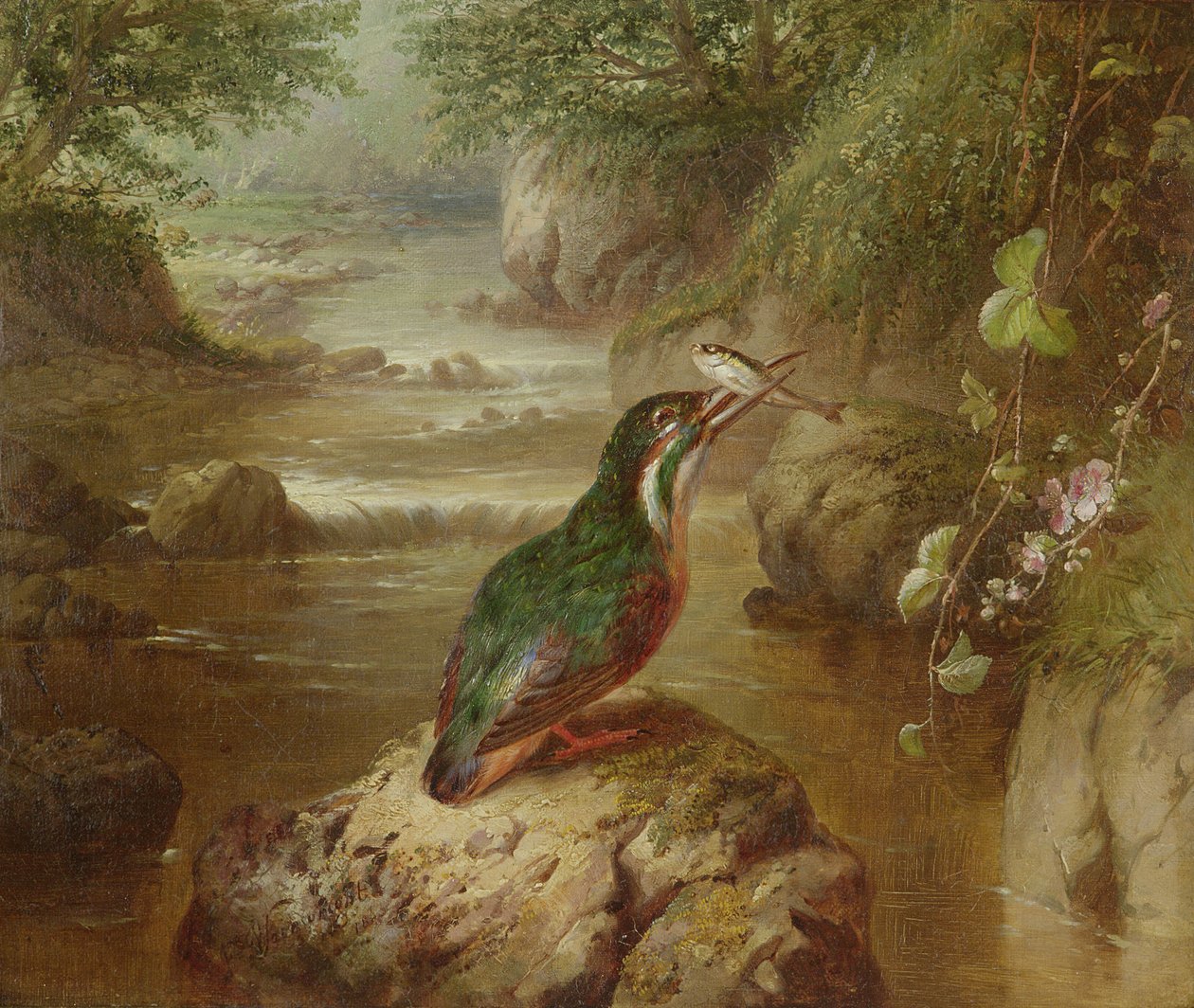 Das Versteck des Eisvogels von John Wainwright