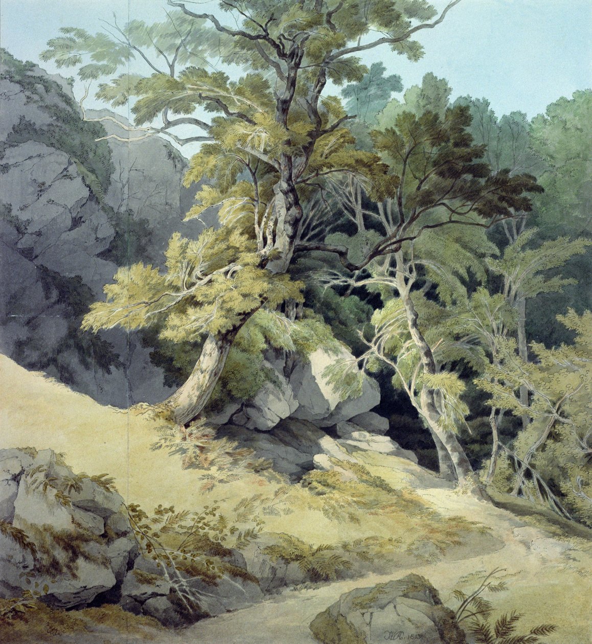 Canonteign, Devon von John White Abbott