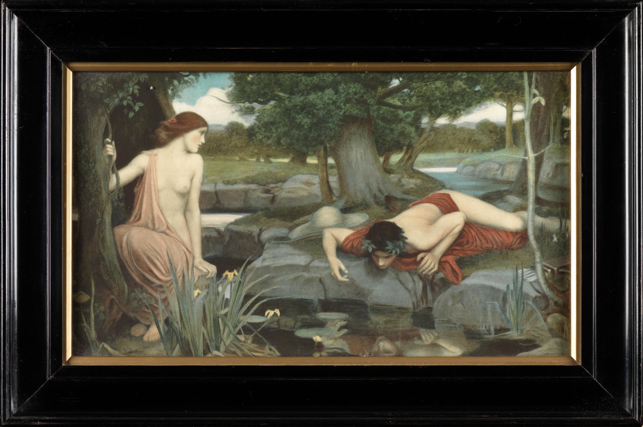 Echo und Narziss von John William Waterhouse