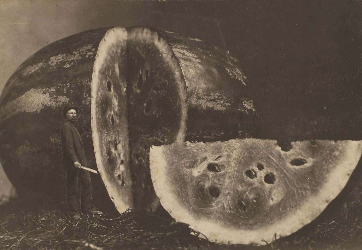 Mann schneidet Wassermelone von Johnson
