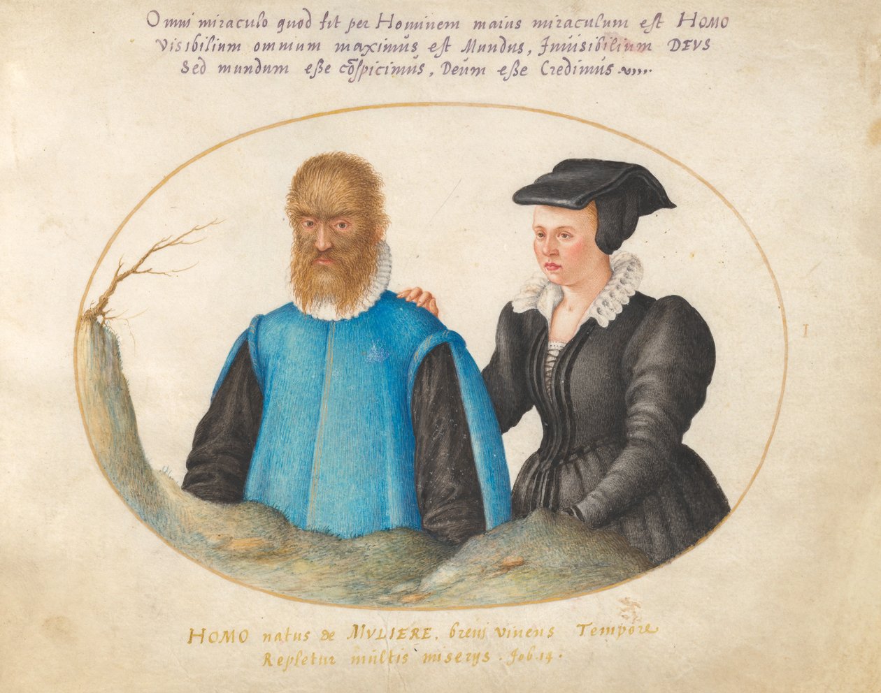 Animalia Rationalia et Insecta (Ignis) - Tafel I von Joris Hoefnagel