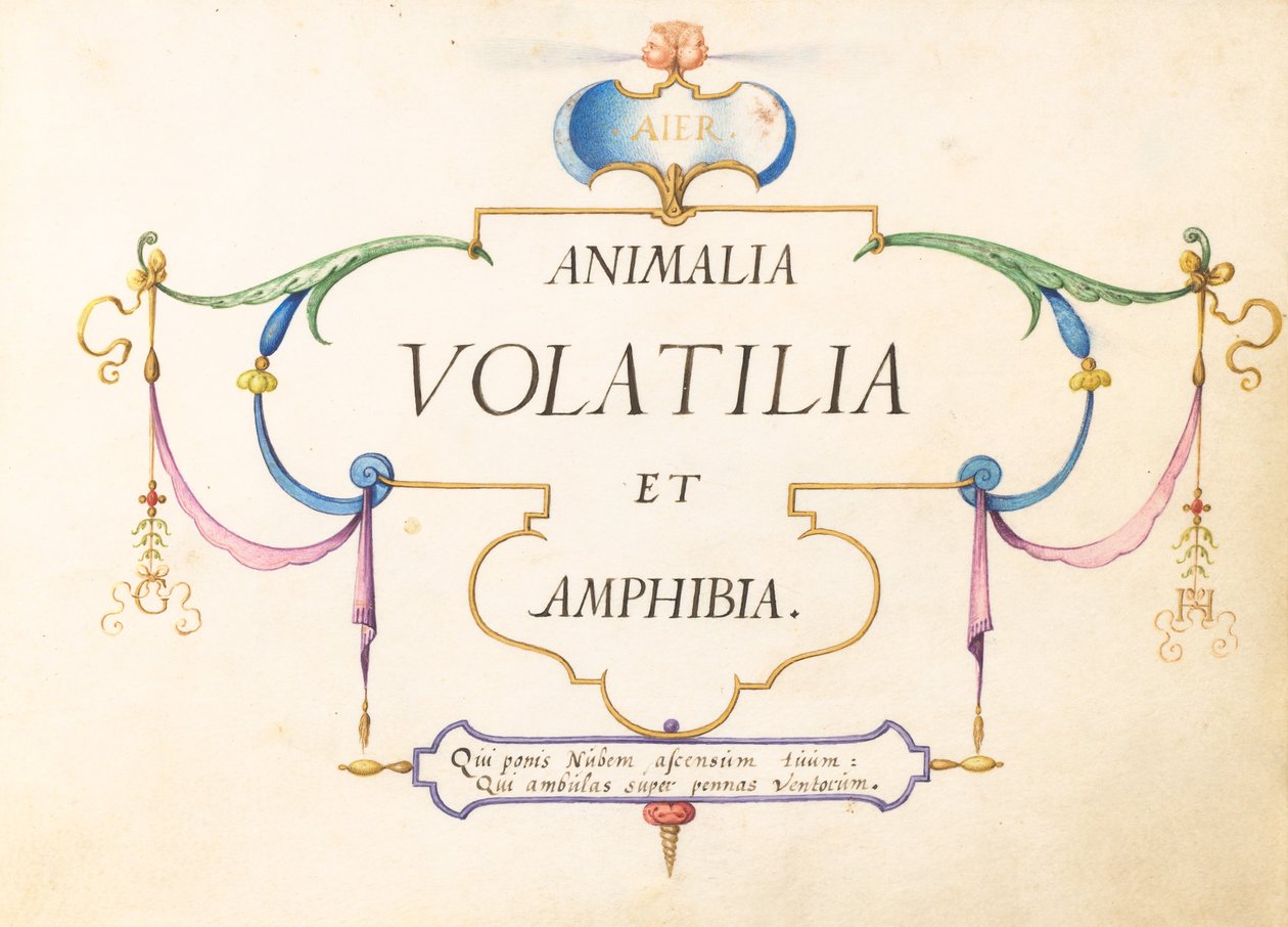 Titelseite von Joris Hoefnagel