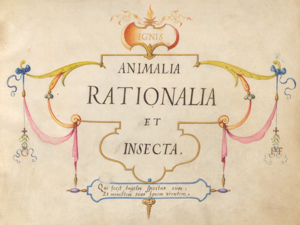 Titelseite von Joris Hoefnagel