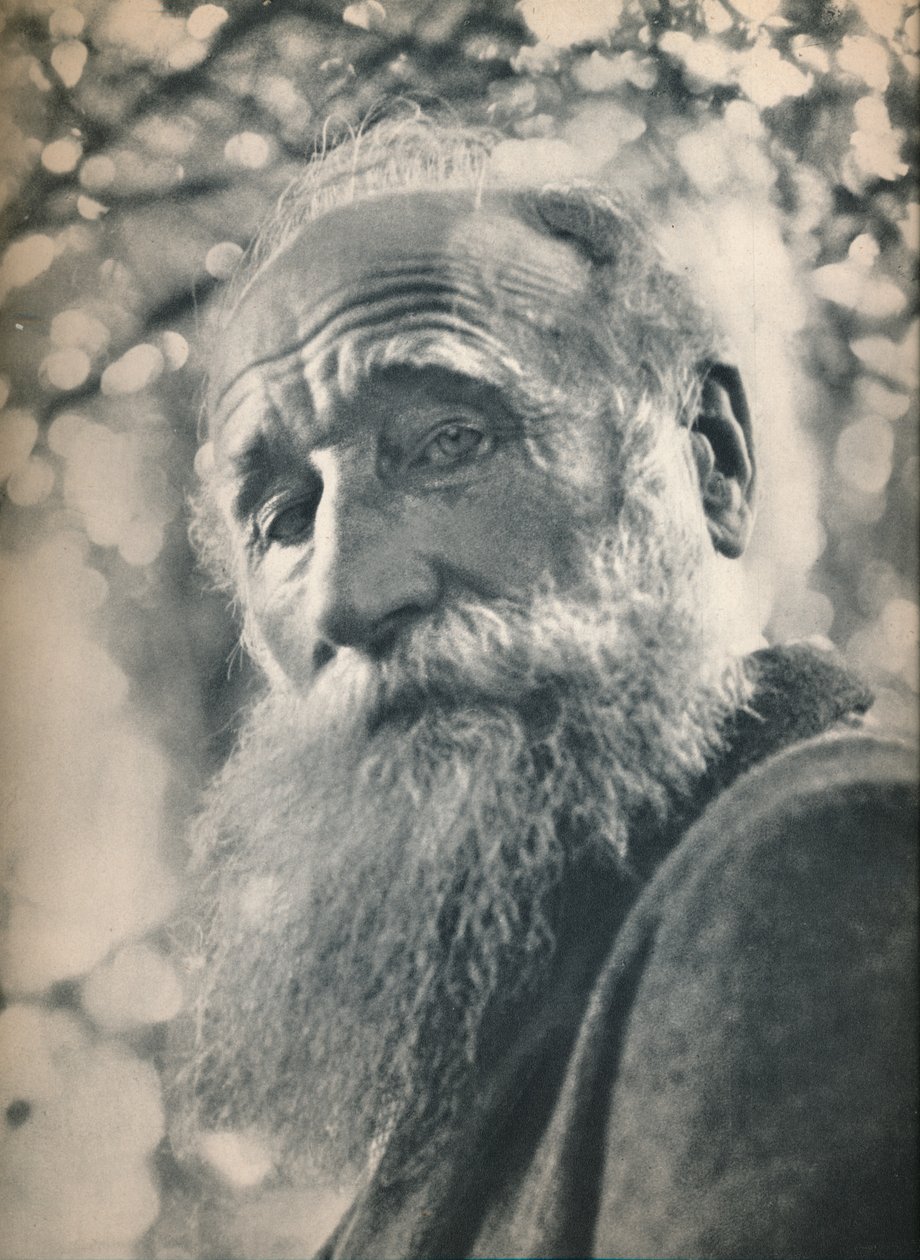 Aristide Maillol von Josef Breitenbach