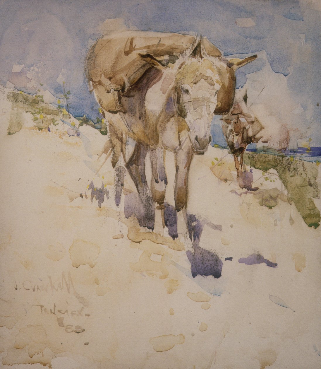 Tanger von Joseph Crawhall