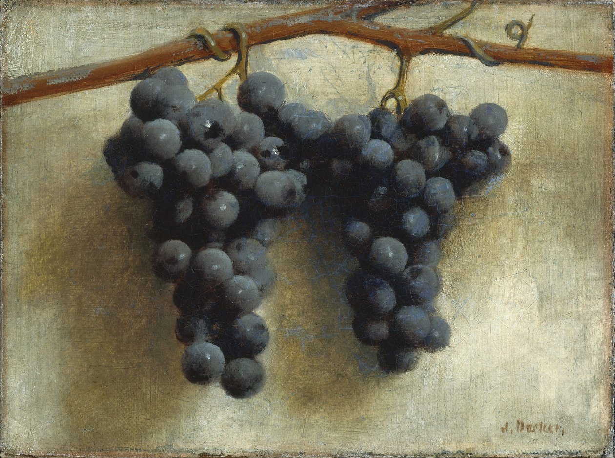 Trauben von Joseph Decker