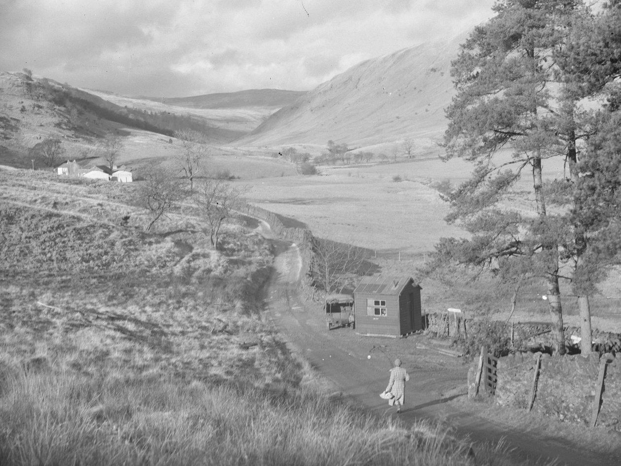 Blick auf Felder und Hügel von Bannisdale von Joseph Hardman