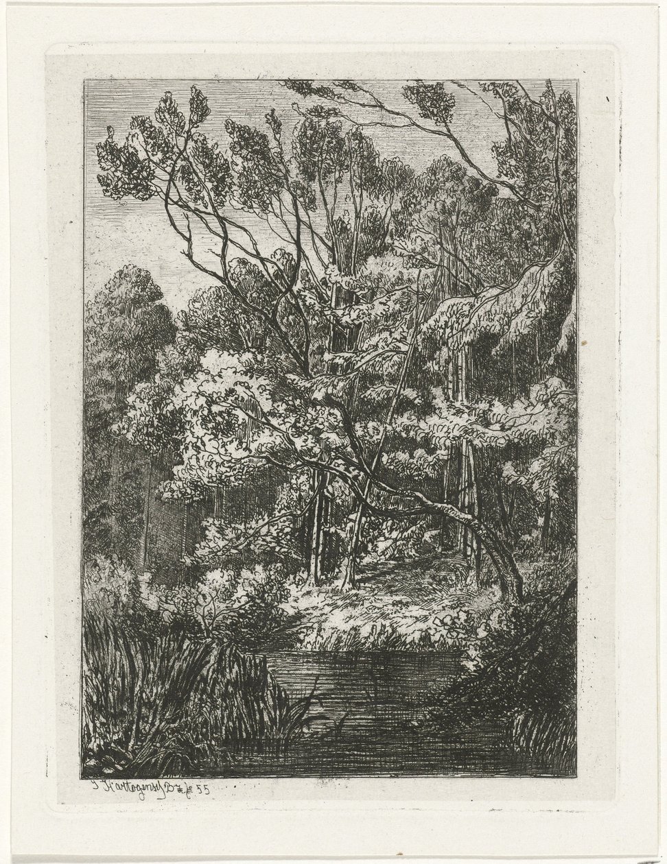 Waldansicht von Joseph Hartogensis