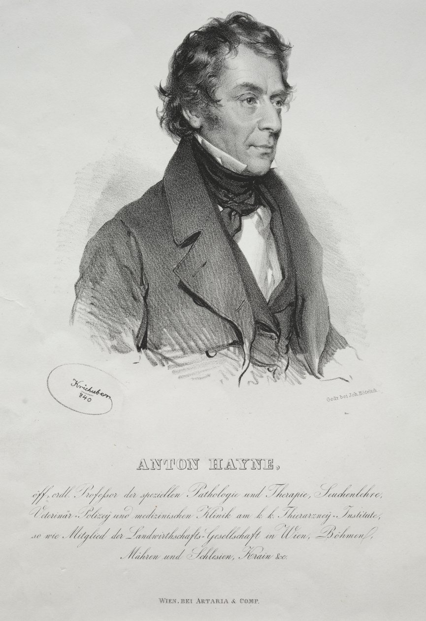 Porträt von Dr. Anton Hayne von Joseph Kriehuber