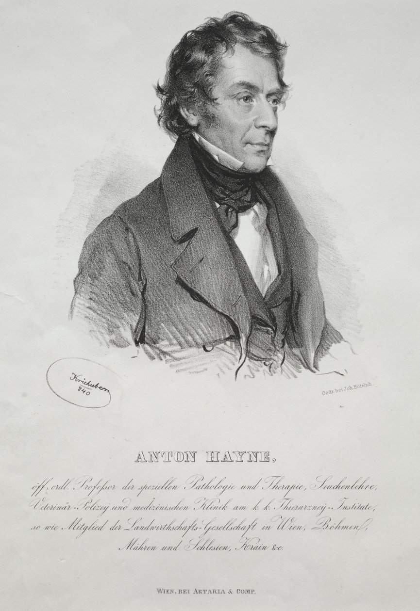 Porträt von Dr. Anton Hayne, 1840 von Joseph Kriehuber