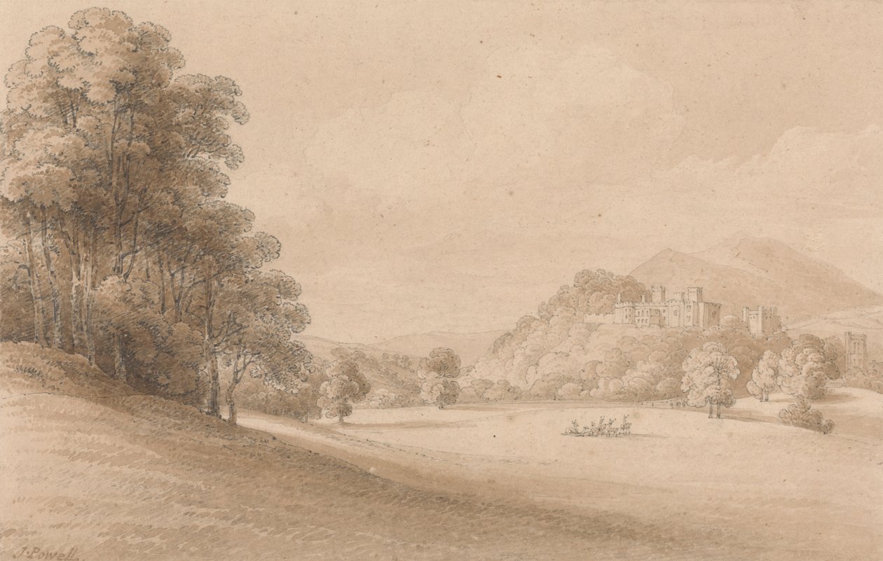 Dunster Castle, Somerset: Schloss in der Ferne von Joseph Powell