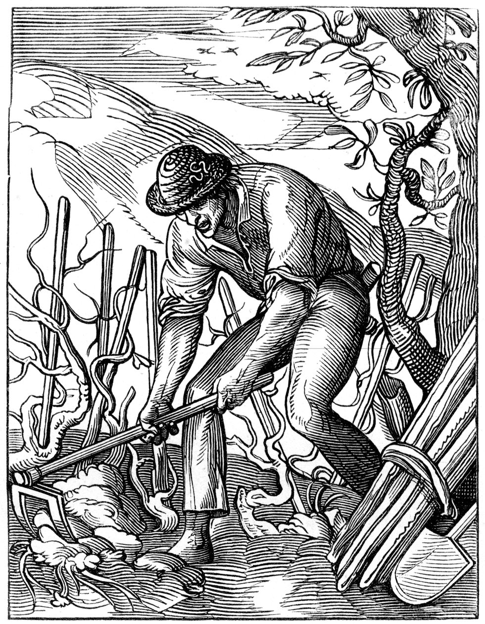 Winzer, 16. Jahrhundert, 1849 von Jost Amman