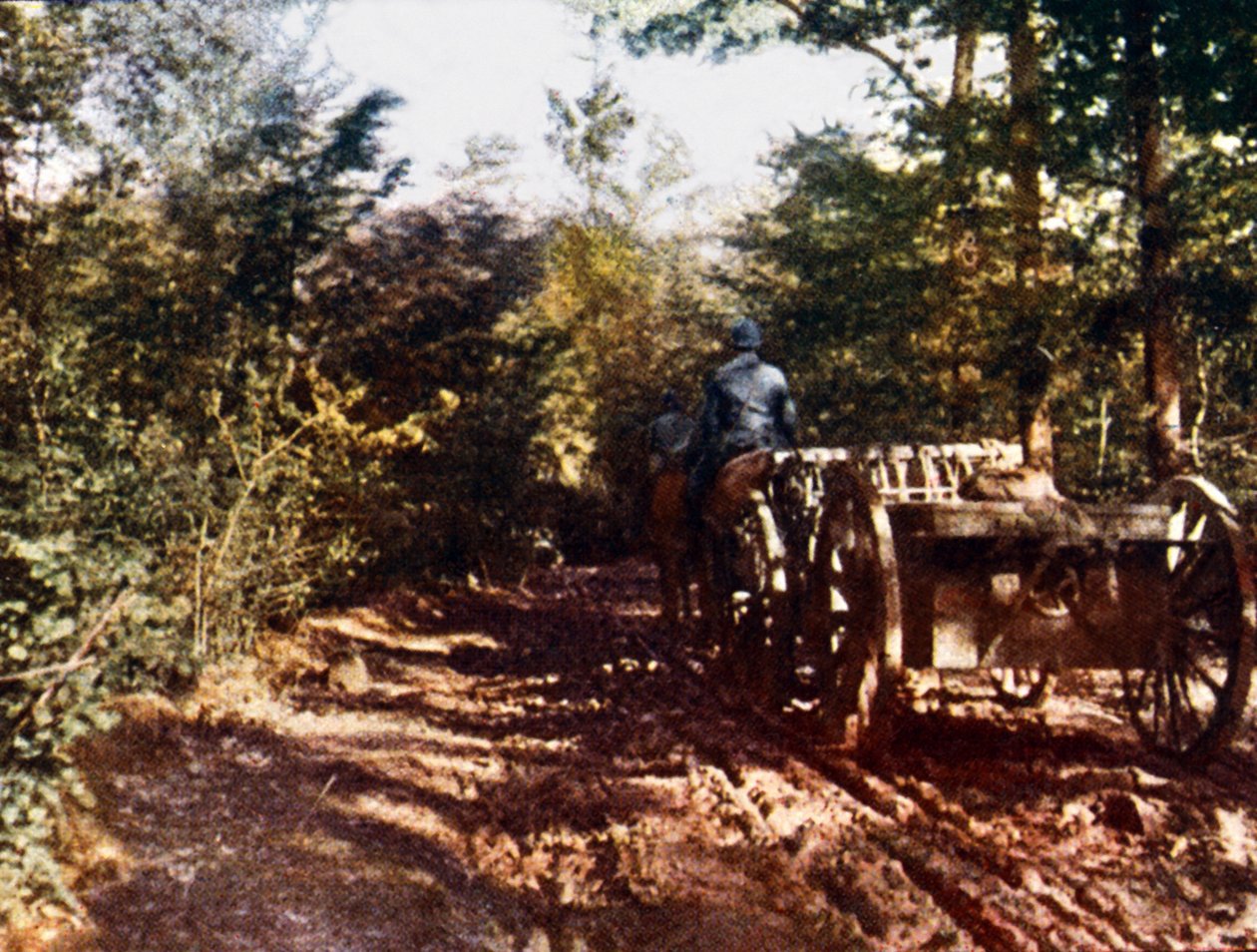 Ein französischer Pferdewagen mit einer 75-mm-Kanone, Verdun, 1916 von Jules Gervais Courtellemont