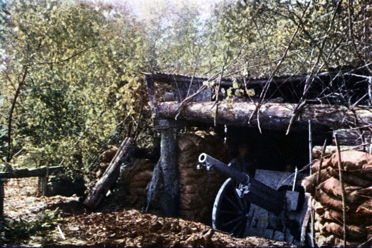 Eine getarnte französische 75 mm Kanone unter den Bäumen während der Schlacht von Verdun, September 1916 von Jules Gervais Courtellemont