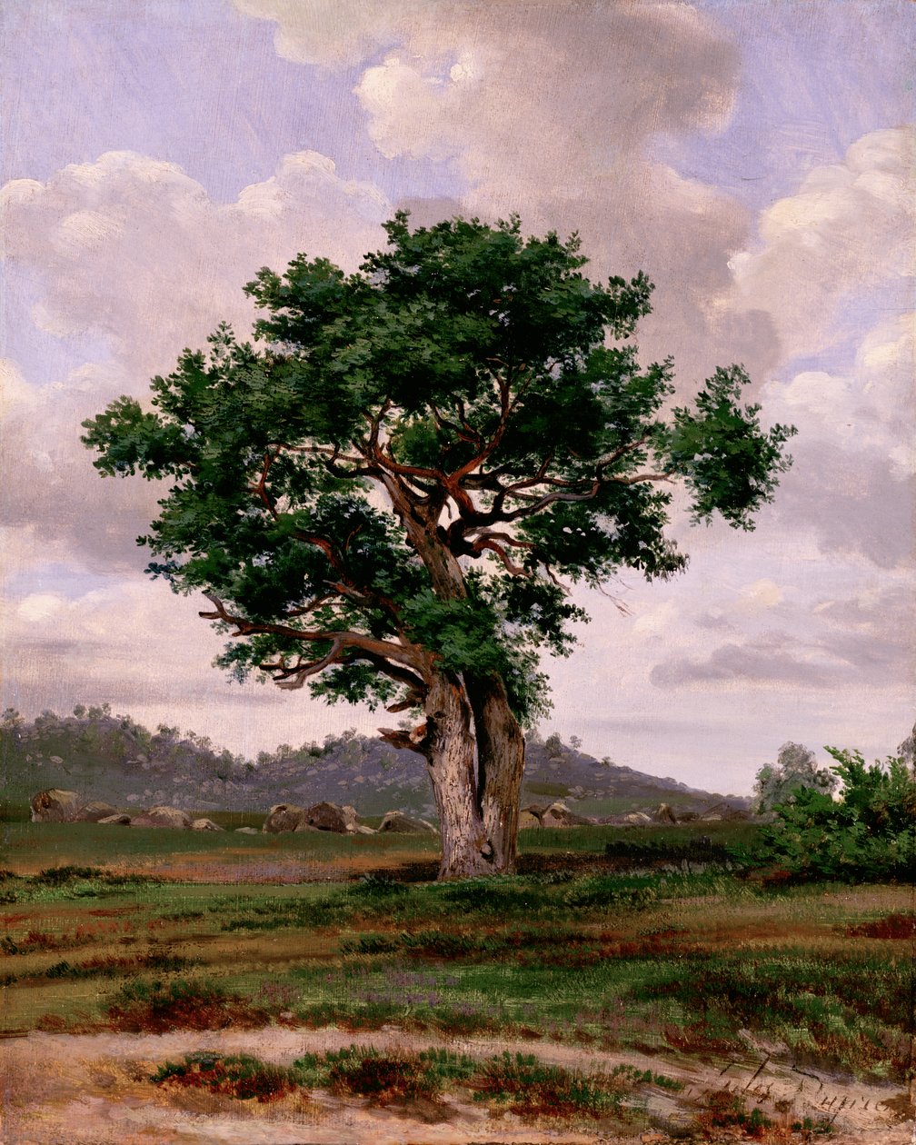 Le Rageur (der Hitzkopf) von Jules Dupré