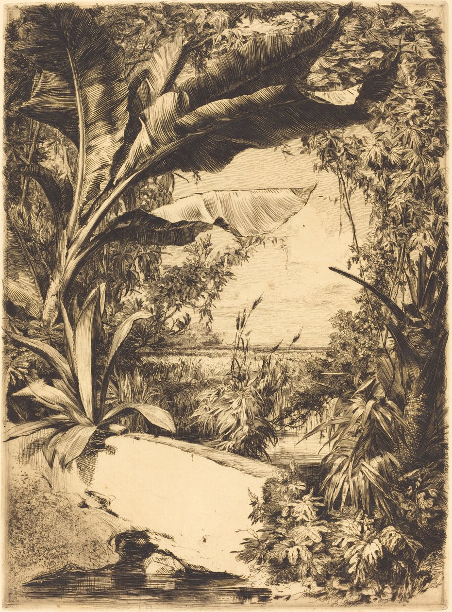 Gewächshauspflanzen von Jules Ferdinand Jacquemart