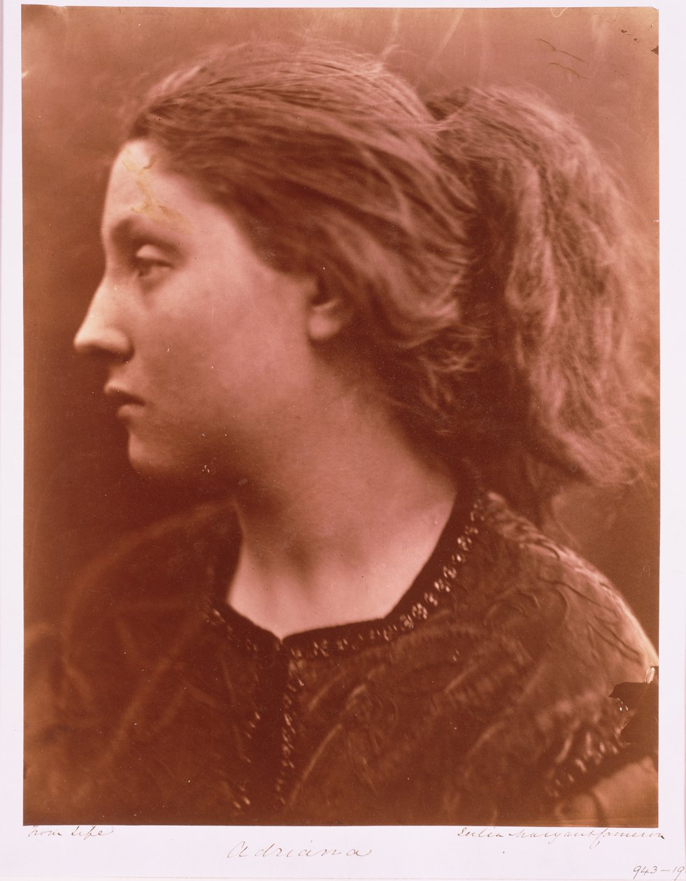 Adriana von Julia Margaret Cameron